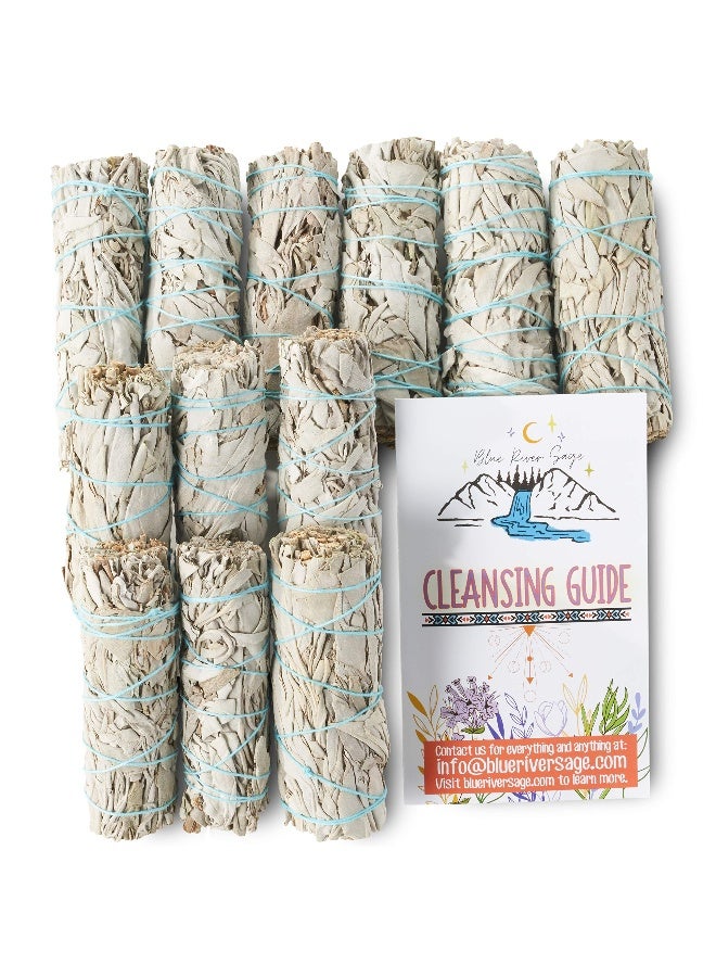 BLUE RIVER SAGE 12 Pack White Sage ~ Sage Smudge Sticks for Smudging & Cleansing Energy ~ Bulk/Wholesale ~ Sustainably Grown (12 Pack) - Image 3